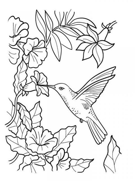 Hummingbird Colors, Bird Embroidery Pattern, Line Art Vector, Bird Coloring Pages, Butterfly Drawing, Bird Embroidery, Flower Coloring Pages, Coloring Pages To Print, Cute Coloring Pages