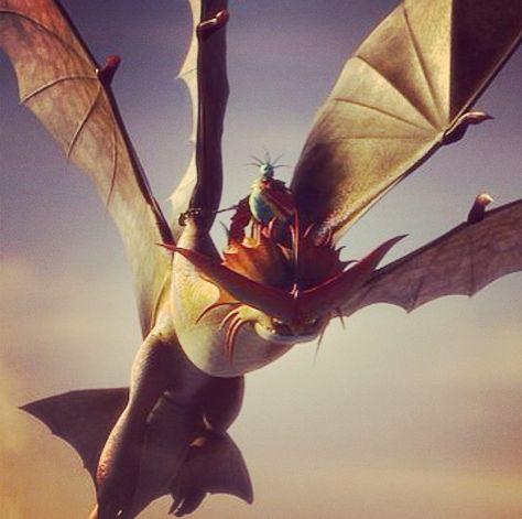 Cloudjumper :) Cloud Jumper, Dragon Flying, Train Dragon, Train Your Dragon, How To Train, A Dragon, How Train Your Dragon, How To Train Your Dragon, Httyd