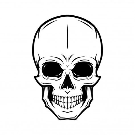 Human skull illustration Premium Vector | Premium Vector #Freepik #vector #background #pattern #poster #vintage Skull Illustration, Human Skull, Premium Vector, Black And White, Human, White, Black