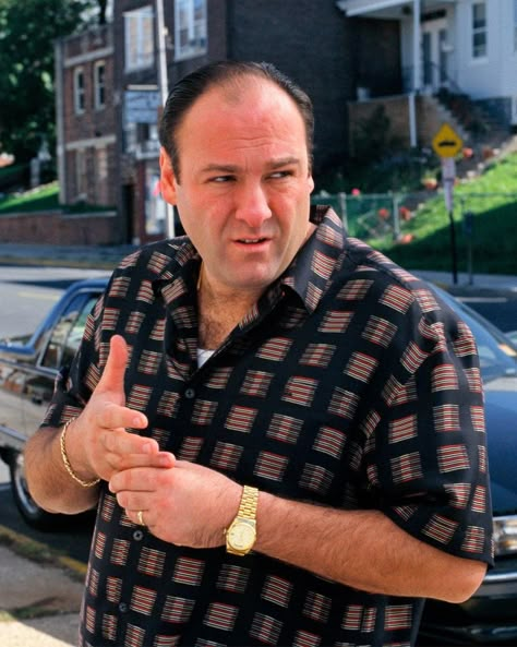 Sopranos Fashion, Sopranos Quotes, James Gandolfini, Batman Pictures, The Sopranos, Tony Soprano, Gold Rolex, Star Show, Mens Outfit Inspiration