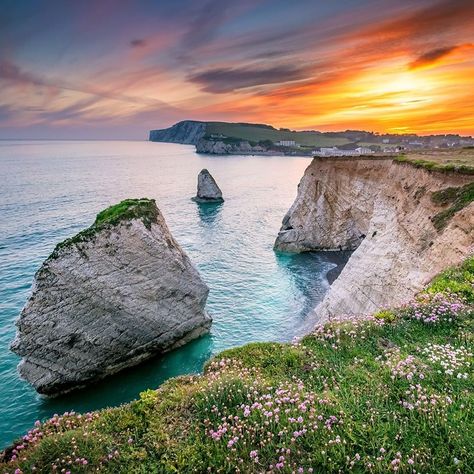 Red Funnel Isle of Wight Ferry on Instagram: “Freshwater Bay at Sunset. ☀🌇⠀ ⠀ Following Wednesday's announcement, we are delighted to tell you the Isle of Wight will be once again be…” Fall Honeymoon, Ancient Yew Tree, Apocalypse Landscape, Mountain Landscape Photography, Scenic Art, Beach Landscape, Landscape Artist, Honeymoon Destinations, Isle Of Wight