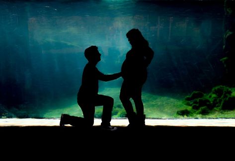 Aquarium Maternity Photos, Pregnancy Journey, Pregnancy Shoot, Family Pictures, Maternity Pictures, Pregnancy Photoshoot, Pregnancy Announcement, Pregnancy Photos, Family Photos