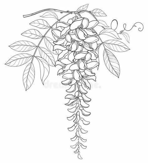 Pure White Background, Flower Line Drawings, Flower Drawing Tutorials, Ornamental Tattoo, Elegant Bouquet, Flower Bunch, Flower Art Drawing, Flower Sketches, Floral Drawing