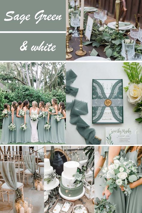 Sage Green Wedding Parents, Sage Green Invitations Weddings Simple, Sage Green And Navy Wedding Colors, Wedding Motif Ideas 2023 Sage Green, Green Cream Wedding Colors, Wedding Motifs Ideas, Wedding Theme Green And White, Safe Green Wedding Decor, Miss Green Wedding