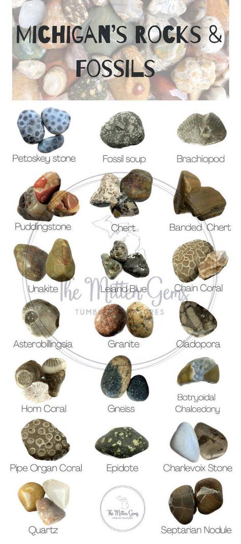 Michigan Great Lakes Rocks & Minerals | Michigan Rocks Lake Michigan Rocks Identification, What To Do With Rocks You Collect, Lake Superior Rocks Identification, Raw Gemstones Rocks Natural, Lake Michigan Rocks, Michigan Rocks And Minerals, How To Polish Rocks By Hand, Rock Decor Home, Rock Organization