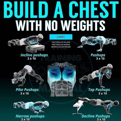 Chest Workout At Home, Chest Workout For Men, Chest Workout Routine, Supplement Guide, Home Workout Men, Latihan Dada, Chest Exercises, Week Workout, Muscle Abdominal