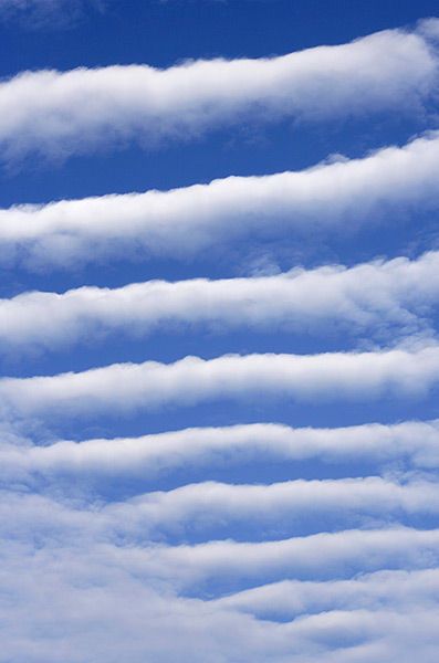 Altocumulus clouds ~ skies of Summer Weather Cloud, Cumulus Clouds, Cloud Atlas, Wild Weather, Cloud Shapes, Meteorology, Storm Clouds, White Clouds, To Infinity And Beyond