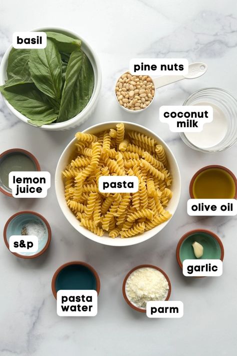 Coconut Milk Pesto Pasta is super easy to make and absolutely delicious! The coconut milk makes the pesto sauce nice and creamy. Coconut Milk Pasta Recipes, Vegan Pesto Pasta, Pesto Sauce For Pasta, Creamy Pesto Pasta, Vegan Pesto, Easy Pasta Dishes, Creamy Pesto, Garlic Pasta, Lemon Pasta