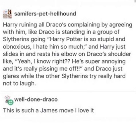 Slytherin Harry Potter Au, Harry Potter Au, Yer A Wizard Harry, Harry Potter Tumblr, Harry Potter Headcannons, Golden Trio, Harry Potter Jokes, Harry Potter Marauders, Harry Potter Quotes