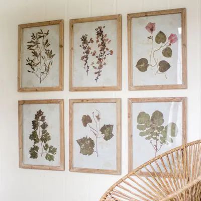 HARVEST MOON | Shop Sales Events Antique Farmhouse Painted Fox Home, Framed Leaves, Pale Wood, Rustic Wood Frame, Framed Botanicals, Antique Farmhouse, Farmhouse Wall, At Home Store, Leaf Prints