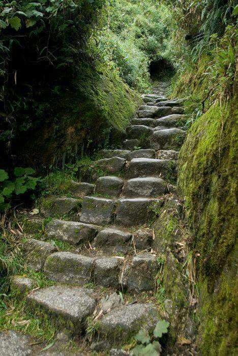 Stairs In The Forest, Mystical Places, Magical Garden, Garden Pathway, Whimsical Garden, Forest Fire, Nature Pictures, Nature Beauty, Mother Nature