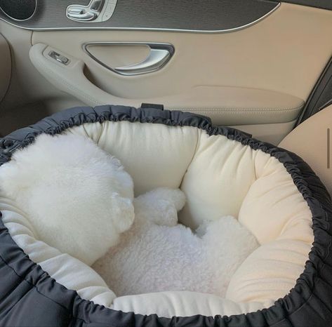 Cute Puppy Beds, Boujee Dog, Things For Dogs, Dog Room Design, Puppy Room, Girly Car Accessories, Really Cute Puppies, Dog Essentials, Dog Rooms