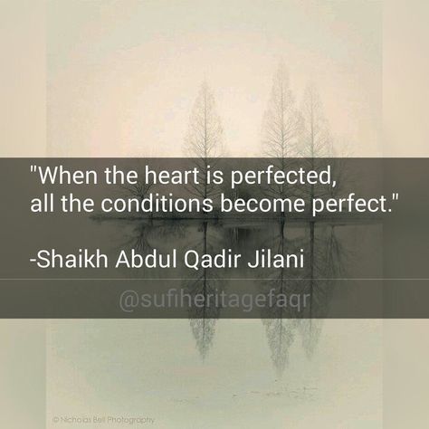 "When the heart is perfected, all conditions become perfect." -Shaikh Abdul Qadir Jilani www.sultan-bahoo.com #shaikhabdulqadirjilani #sultanbahoo #sultanulashiqeen #sarwariqadriorder #sufiquotes #sufism #sufiheritagefaqr Sheikh Abdul Qadir Jilani Quotes, Abdul Qadir Jilani Quotes, Abdul Qadir Jilani, Muslim Beard, Bronx Tale, A Bronx Tale, Robert Adams, Sufi Quotes, Rumi Quotes