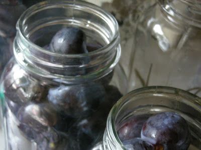 Lori's Lipsmacking Goodness: CANNING PLUMS Canning Plums, Cake Piece, Prune Plum, Canned Plums, Canning Fruit, Plum Recipes, Canning Vegetables, Canning Recipe, Plum Sauce