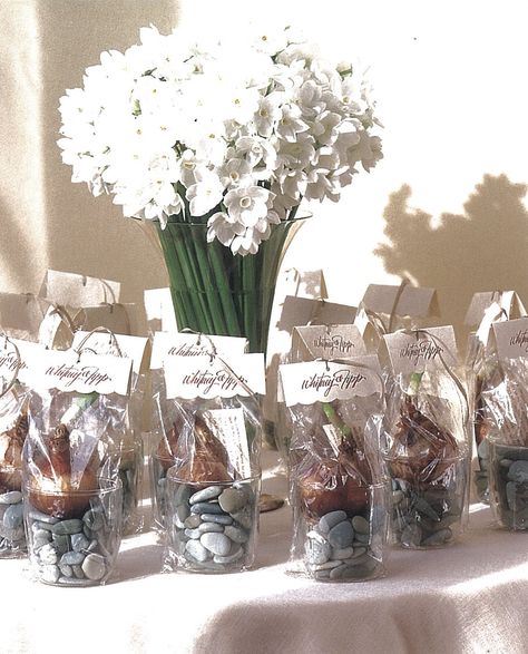 a way to package bulbs as favors  super cute idea! Flower Bulb, Flower Bulbs, Tulip Bulbs, Baby Shower Flowers, Celebrate Life, Quilts Ideas, Wedding Idea, Bulb Flowers, Wedding Florals