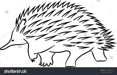 Echidna Tattoo, Echidna Drawing, Aboriginal Art Australian, Aboriginal Art Symbols, Art Symbols, Matching Images, Alphabet Matching, Easy To Draw, Gross Motor Activities