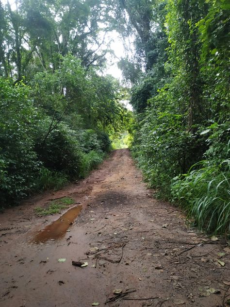 Rio Claro, Brazil Ace Aesthetic, Brazil Aesthetic, Countryside Aesthetic, Plein Air, Brazil, Country Roads, Photographer, Quick Saves, Instagram