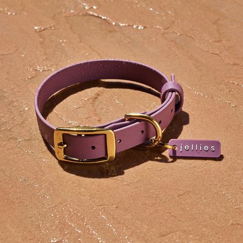 Aurora, latin for dawn, is a warm and earthy purple. Inspired by the changing sky as the sun rises on the seaside. 🌅 New waterproof Jellies Collection arrives on Tuesday! 💦 Earthy Purple, Black Friday Jewelry, Stocking Fillers For Him, Luxury Activewear, Waterproof Dog Collar, The Sun Rises, Sun Rises, Brand Magazine, Stocking Fillers For Her