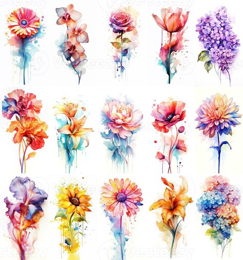 Download the Colorful watercolor art. Isolated on white background. In a realistic manner, colorful, rainbow. Ideal for teaching materials, books and nature-themed designs. Paint splash icons. created by AI 29126909 royalty-free Stock Photo from Vecteezy for your project and explore over a million other images and backgrounds. Watercolor References, Kid Name Tattoo, Pet Paw Print, Colorful Watercolor, Cute Clipart, Watercolor Splash, Paint Splash, Flower Clipart, Colorful Rainbow