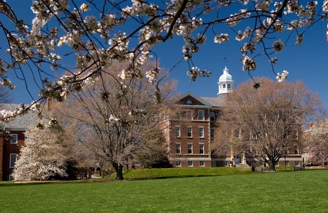 The campus green at WAC: site of many an epic (and not a few less-than-epic) townball game. Washington College Chestertown, Chestertown Maryland, Washington College, Eastern Shore Maryland, Eastern Shore, Wide World, Chesapeake Bay, Alma Mater, College Life