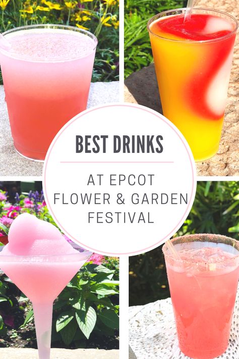 Check out these delicious Disney alcoholic drinks to try during your next trip to the Flower & Garden Festival! #disneyeats #disneyfood #disneydrinks Flower And Garden Festival Epcot 2024, Epcot Flower And Garden Festival 2024, Epcot Flower And Garden Festival 2023, Florida Baecation, Epcot Drinks, Drink Around The World Epcot, Disney Alcoholic Drinks, Flower And Garden Festival Epcot, Disneyland Paris Rides