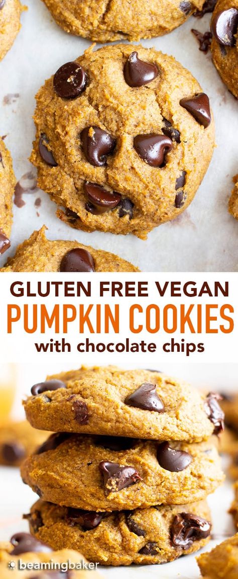 Pumpkin Chocolate Chip Cookies Healthy, Purely Kaylie, Vegan Pumpkin Chocolate Chip Cookies, Cozy Baking, Puree Pumpkin, Gluten Free Pumpkin Cookies, Pumpkin Cookies Healthy, Vegan Pumpkin Cookies, Vegan Pumpkin Spice