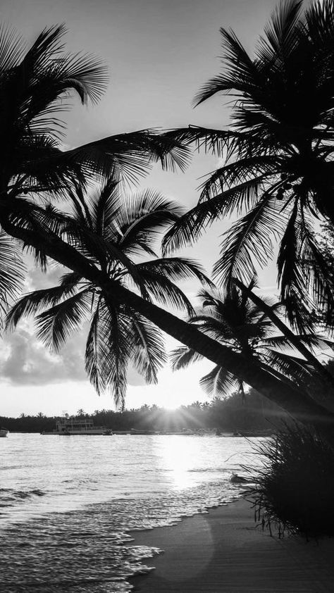 Ocean Aesthetic Black And White, Photo Aesthetic Noir, Black Grey And White Aesthetic, Wigets Pictures Aesthetic Black, Ocean Black And White Aesthetic, Black And White Beach Wallpaper, Beach Black And White Aesthetic, Black And White Aesthetic Nature, Black Summer Wallpaper