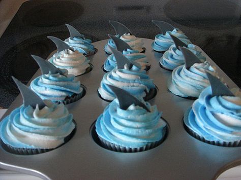 shark cupcakes with blue and white icing Double Cake, Shark Cupcakes, Shark Birthday Cakes, Baby Shark Party, Ocean Birthday Party, Shark Themed Birthday Party, Novelty Birthday Cakes, Baby Shark Birthday, Shark Cake