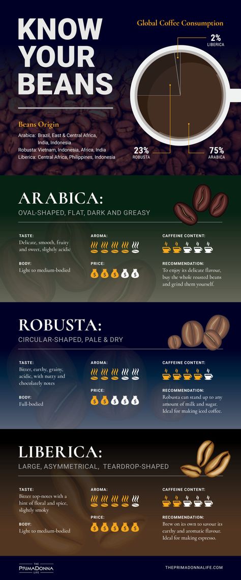 Know Your Coffee, Arabica Robusta, Types Of Coffee Beans, Coffee Infographic, Coffee Guide, Coffee Facts, Bulletproof Coffee, Green Coffee Bean, Coffee Drink Recipes