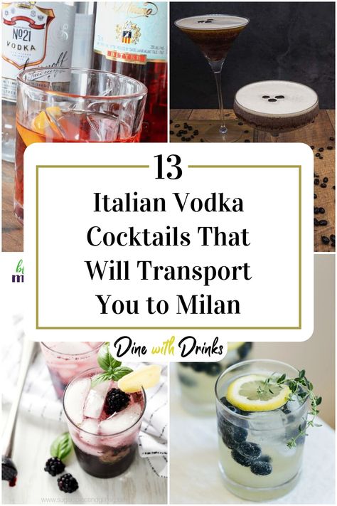 Collage of 4 italian vodka cocktails. Cocktails That Go With Pasta, Cocktails That Go With Pizza, Fancy Vodka Cocktails, Italian Inspired Cocktails, Italian Cocktail Party, Italian Drinks Alcohol, Italian Cocktail Recipes, Summer Vodka Drinks, Vodka Drinks Easy