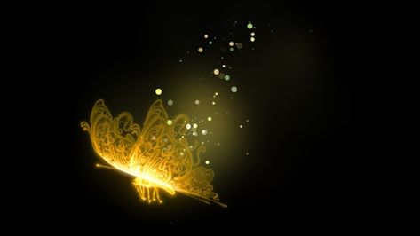 Butterfly 01 Particles Golden Lighting Butterfly Png, Light Butterfly Png Editing, Butterfly Png Editing, Glowing Butterfly Png, Butterfly Overlay, Glowing Butterflies, Glowing Butterfly, Light Butterfly, Magic Butterfly