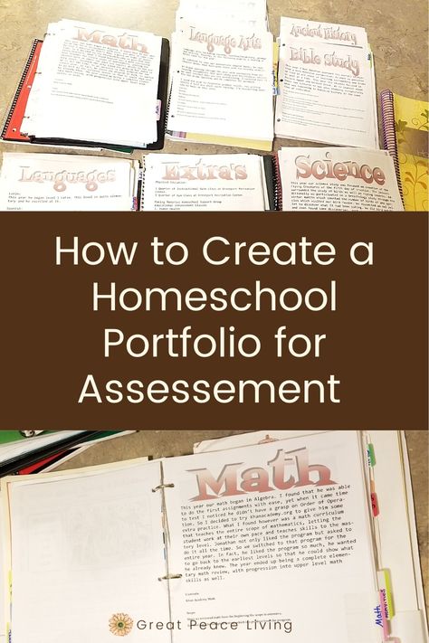 No Curriculum Homeschool, Homeschool Portfolio Ideas, Homeschool Portfolio Examples, Homeschool Assessments, Eclectic Homeschooling, Homeschool Binder, Homeschool Portfolio, School Planning, Homeschool Middle School