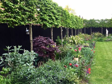 19 simple garden pleached hedge black wooden fence border planting statue Acer welch landscape design Dark Fence Garden, Pleached Hedge, Black Wooden Fence, Front Garden Fence, Contemporary Planting, Black Garden Fence, Simple Garden Designs, Fence Border, Planting Schemes