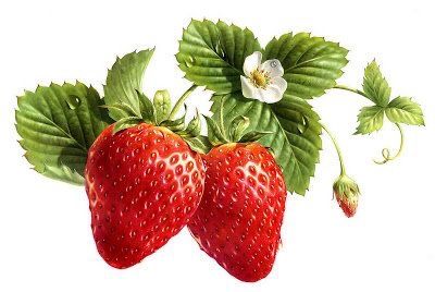 Strawberry Pictures, Strawberry Tattoo, Strawberry Art, Fruits Drawing, Strawberry Decorations, Watercolor Fruit, Fruit Photography, Fruit Illustration, Illustration Food