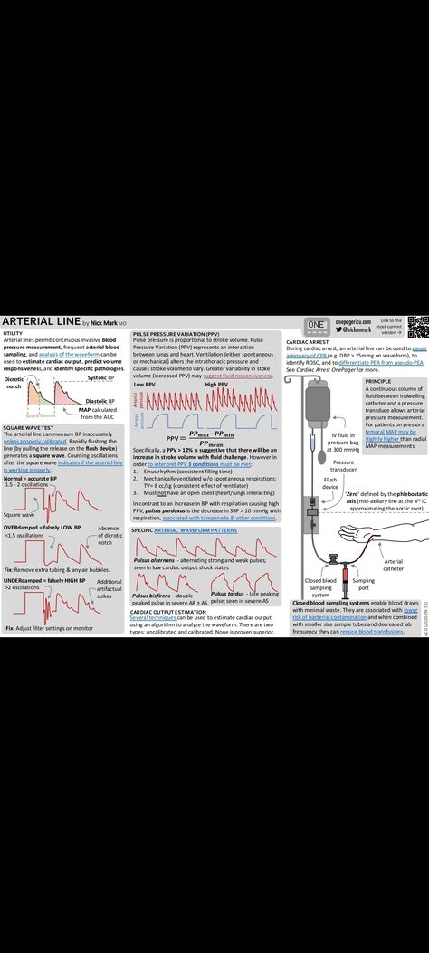 Arterial Line, Respiratory Therapy, Med School, Respiratory, Nursing, How To Become, Medical, Quick Saves, Art