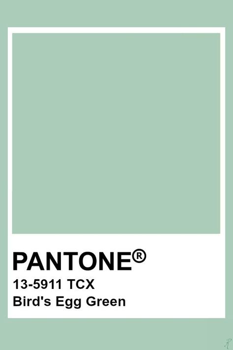 2019-2020 Autumn Winter "Noon" Bird's Egg Green Pantone Tcx Green, Mint Green Pantone, Mint Refresher, Pantone Verde, Pantone Tcx, Pantone Green, Pantone Color Chart, Pantone Swatches, Pantone 2020