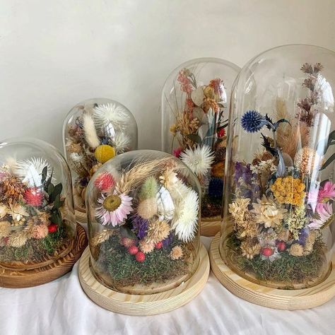 Avigail Adam� on Instagram: "A few new dried flowers domes joining the online family today. Remember- each one is a true one of a kind 💐Check out my stories for a close up! 🌸✨ #driedflowers #driedflorals #dome #cloche #avigailadam" Dried Flower Cloche, Avigail Adam, Flowers 2023, Globe Flower, Dried Floral, Dried Flower Bouquet, Snow Globe, Dried Flower, Flowers Bouquet