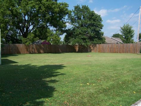 Big Backyard For Dogs, Big Fenced In Backyard, Fenced In Yard For Dogs, Dog In Backyard, Fenced In Backyard Ideas Dogs, Suburb Backyard, Big Backyard Ideas, Backyard Background, Backyard Dog Area