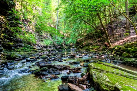 Hiking At South Cumberland State Park In Tennessee Is Like Entering A Fairytale South Cumberland State Park Tennessee, Tennessee State Parks, State Of Tennessee, Backcountry Camping, Peaceful Places, Best Hikes, Camping And Hiking, Weekend Trips, Heaven On Earth