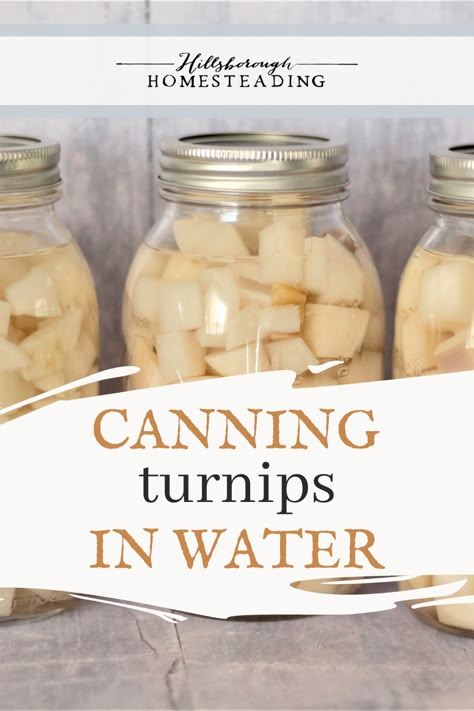 Pickled Turnips Canning, Turnip Canning Recipes, Canning Turnip Greens, Turnip Preserving, How To Can Turnips, Can You Freeze Turnips, How To Store Turnips, How To Preserve Turnips, Preserving Turnips