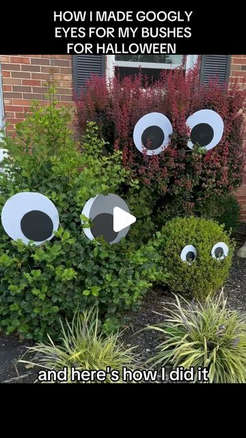 Kids On Kerth Road on Instagram: "How I Made Googly Eyes for My Bushes For Halloween. This is an easy and inexpensive way to get ready for spooky season.#spookyseason #halloween2023 #halloweenseason #kidsonkerth #halloweendecor #halloweenlook #halloweenvibes #halloweendecor #showusyourskelly" Diy Halloween Bush Eyes, Eye Halloween Decoration, Halloween Eye Decorations, Halloween Bush Eyes, Eyes In Bushes Halloween, Halloween Eyes In Bushes, Halloween Decorations For Bushes, Googly Eye Crafts Halloween, Diy Googly Eyes