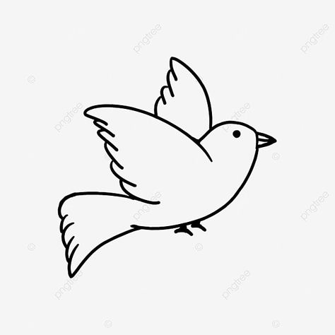 Bird Drawings Flying, Bird Clipart Black And White, Flying Birds Drawing, How To Draw A Bird, Cute Pig Drawing, Easy Bird Drawing, Pigeon Flying, Bird Drawing For Kids, Simple Bird Drawing