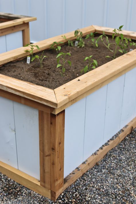 Make Raised Garden Beds, High Raised Garden Beds, Tall Raised Garden Beds, Making Raised Garden Beds, Diy Raised Garden Beds, Herb Garden Pots, Container Herb Garden, Cedar Raised Garden Beds, Outdoor Herb Garden