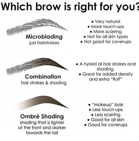 Curved Brow Studio on Instagram: “Which look is your favorite??? #microbladingeyebrows #microbladingbrows #permanentmakeup #microbladingartist #micropigmentation…” Ombre Eyebrows, Phi Brows, Brow Studio, Plucking Eyebrows, Tweezing Eyebrows, Brow Styling, Beautiful Eyebrows, Makeup Shades, Permanent Makeup Eyebrows