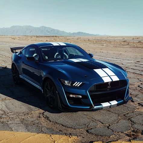 Fondos de Pantalla Ford Mustang Shelby GT500 2019 Azul Tiras Coches descargar imagenes Ford Mustang Wallpaper, Mobil Mustang, Shelby Gt 500, Carros Bmw, Mean Machine, Mustang Gt500, Shelby Mustang, Ford Mustang Car, Hypebeast Wallpaper