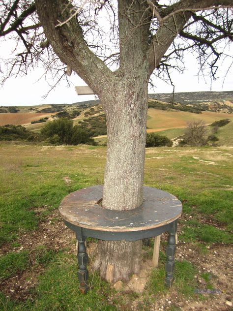 https://flic.kr/p/22RTTBz | Save the tree trunk... have a "Green" outdoor table... | Save the tree trunk... have a "Green" outdoor table... Tree Table Outdoor, Tree Trunk Pergola, Table Built Around Tree, Table Around Tree Trunk, Table Around Tree, Stump Table Outdoor, Tree Root Table, Tree Trunk Ideas, Bench Around Trees