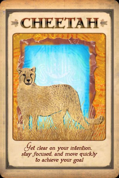 Animal Spirit Guide Cheetah Animal Totem Spirit Guides, Spirit Animal Meaning, Totem Animals, Animal Meanings, Earth Magic, Spirit Animal Totem, Christmas Peace, Animal Spirit Guide, Animal Spirit Guides