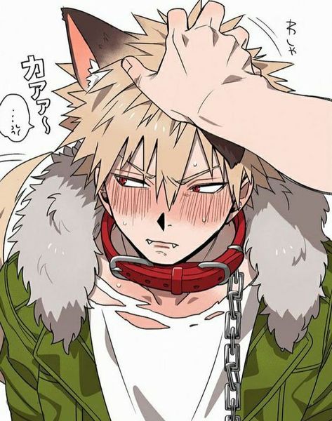 Bakugo Katsuki Fanart Cute, Bakugou Manga, Urban Ninja, Cute Fantasy Creatures, Hottest Anime Characters, Cat Boys, Anime Cat, My Hero Academia Episodes, Anime Eyes