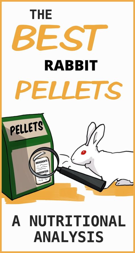 Bunny Diet, Bunny Setup, Pet Feeder Station, Rabbit Pellets, Rabbit Facts, Low Bone Density, Nutrition Poster, Rabbit Diet, Healthy Brands