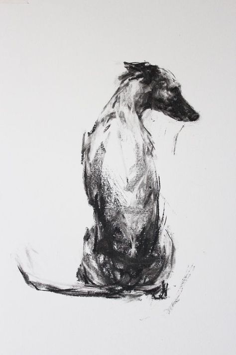 Charcoal And Ink Art, Greyhound Sketch, Charcoal Illustration, White Ink Drawing, Watercolour Artists, Sketch Charcoal, Greyhound Art, Creation Art, Dog Sketch